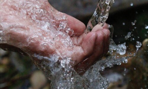 Natürliches Wasserernten: Die Zukunft der Wassergewinnung