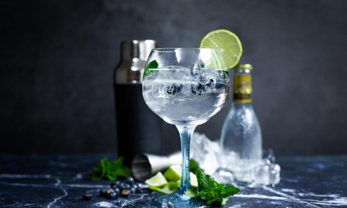 Die Kunst der Auswahl: Wie hochwertige Gläser Ihren Gin-Genuss verändern