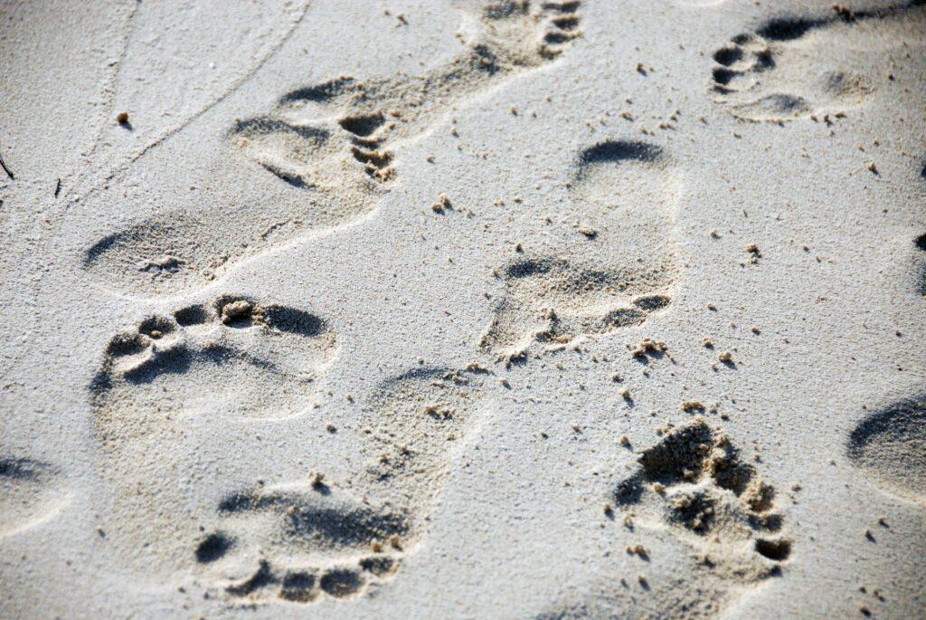 ökologische Fußabdrücke, Fußspuren im Strand